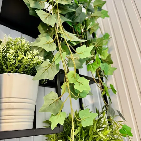 Palkoevei 65. Palkove